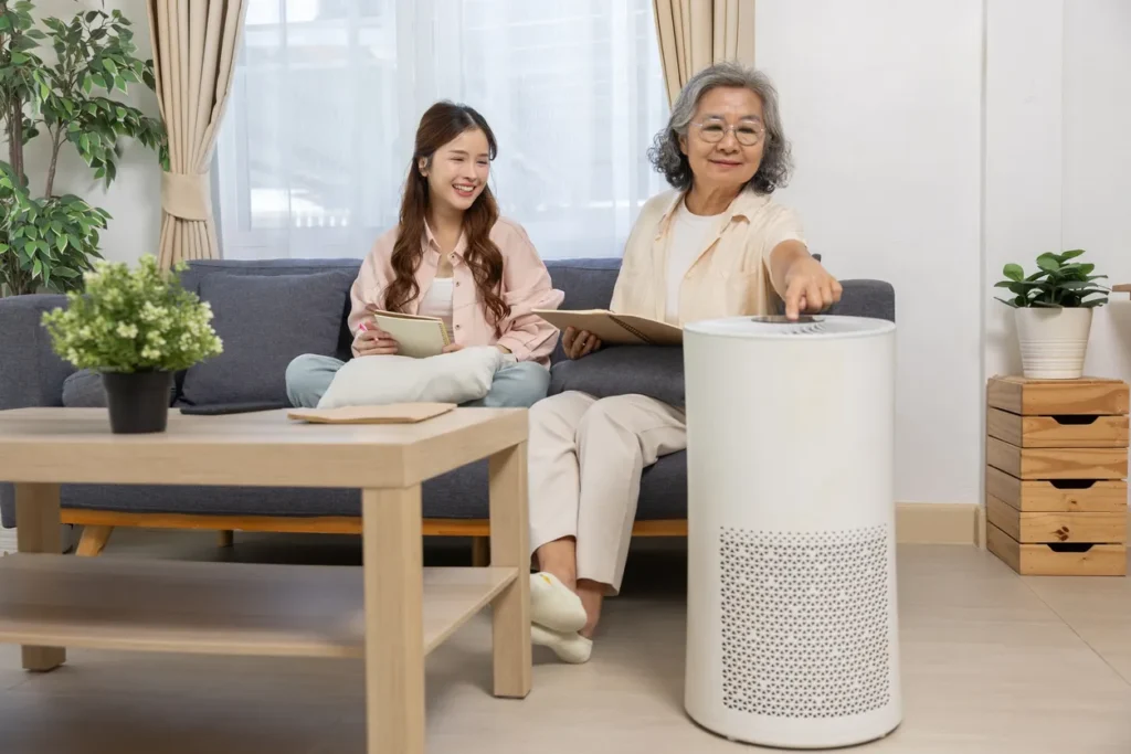 Whole-Home Air Purifier Installation Services 2 Whole-Home Air Purifier Installation Services